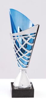 Blue/Silver Assembled Cup