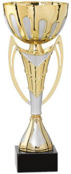 Gold  Metal Cup
