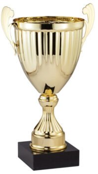 Gold Assembled Cup