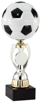 Full Color Soccer Cup