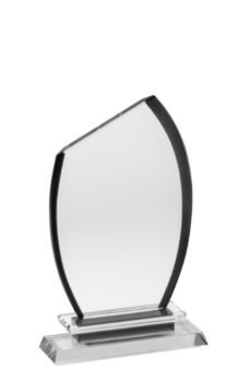 Premium Clear Black Glass Award