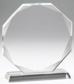 Elegant Crystal Octagon Award
