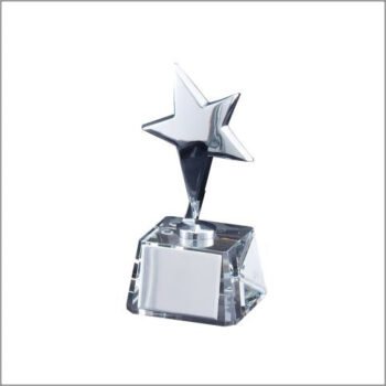 Silver Star On Crystal Base
