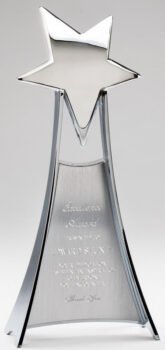 Free Standing Silver Star Award