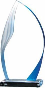 Indigo Impressions Award