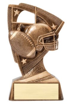 Stars Resin Award -Football