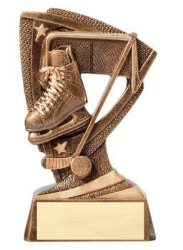 Stars Resin Award -Hockey