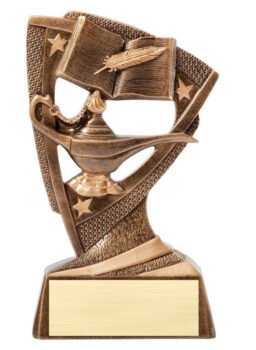 Stars Resin Award -Knowledge