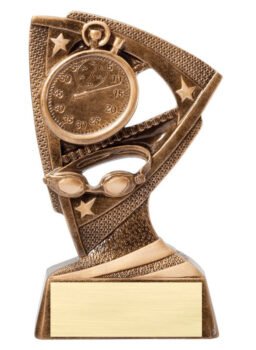 Stars Resin Award -Swim