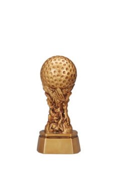Resin Award - Golf