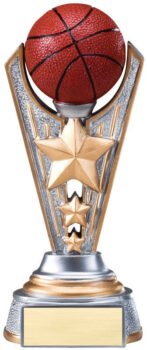 Full Color Award -Basketball